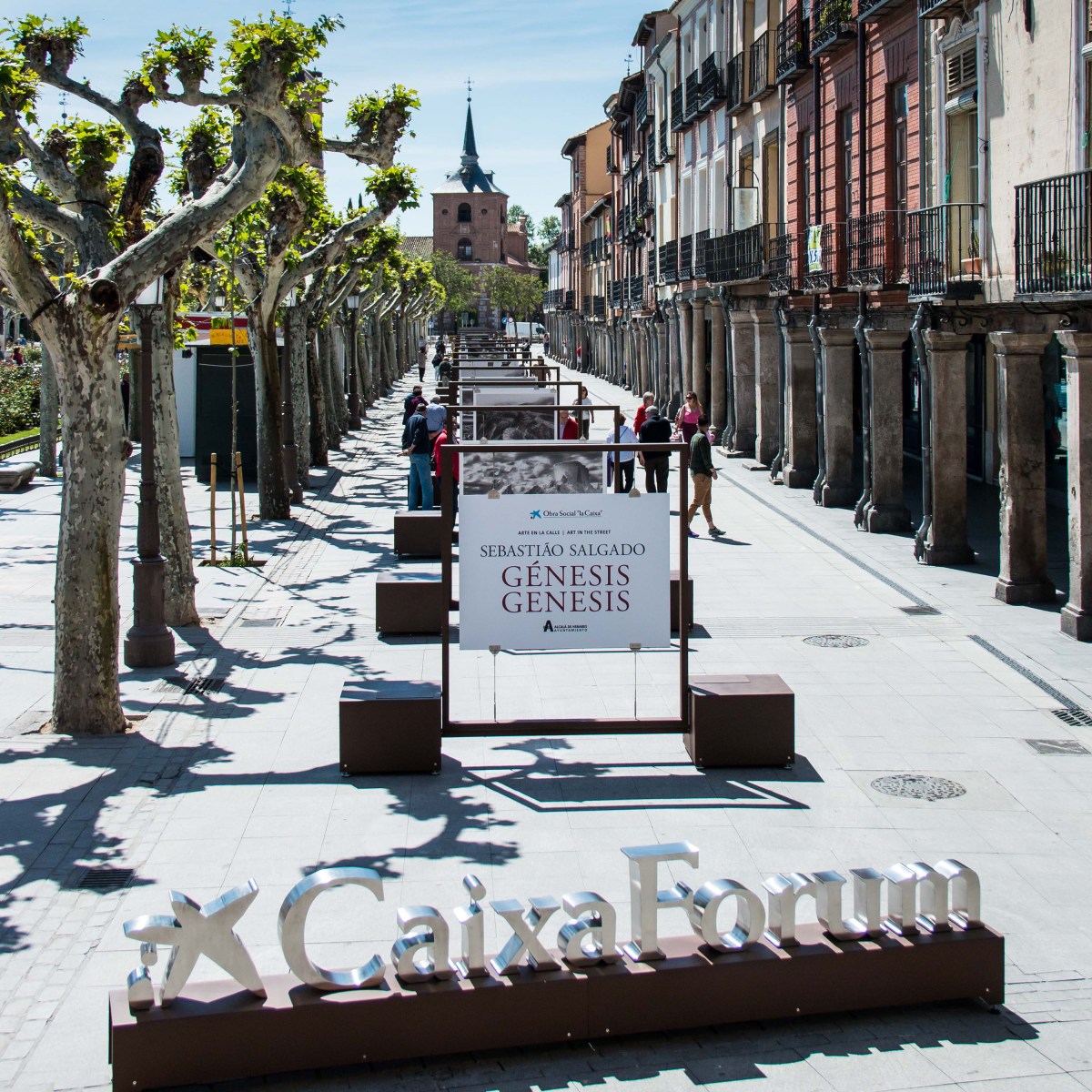 Art al carrer. Sebastião Salgado.&nbsp;Gènesis