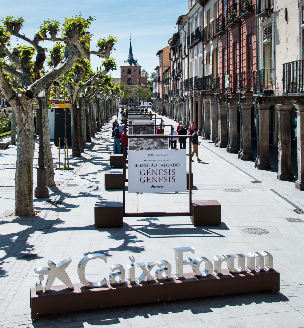 Art al carrer. Sebastião Salgado.&nbsp;Gènesis
