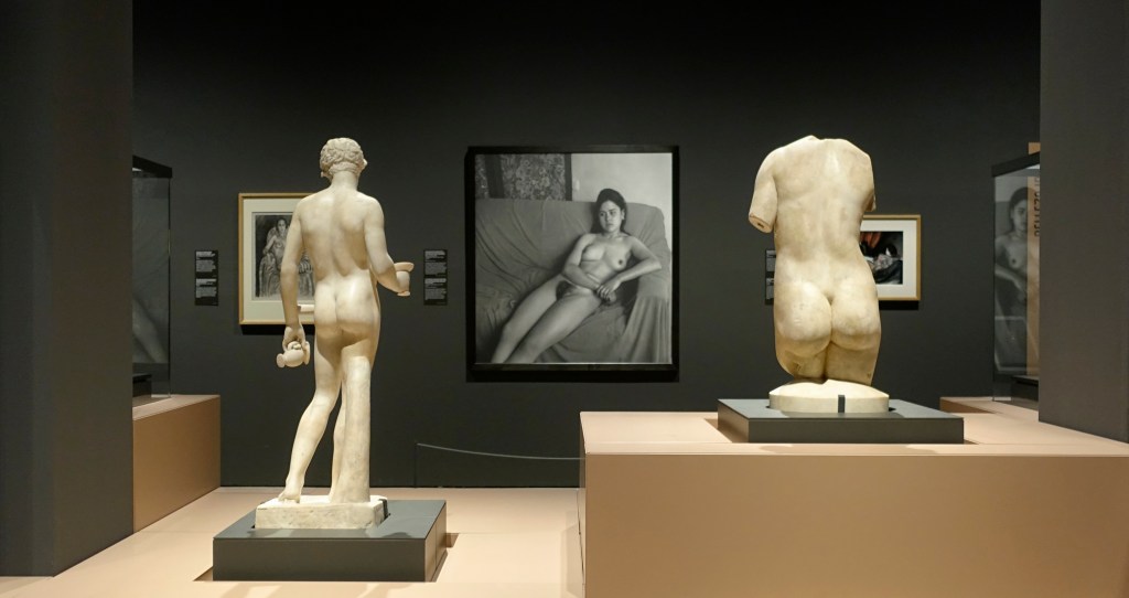 La imatge humana. art, identitats i simbolisme