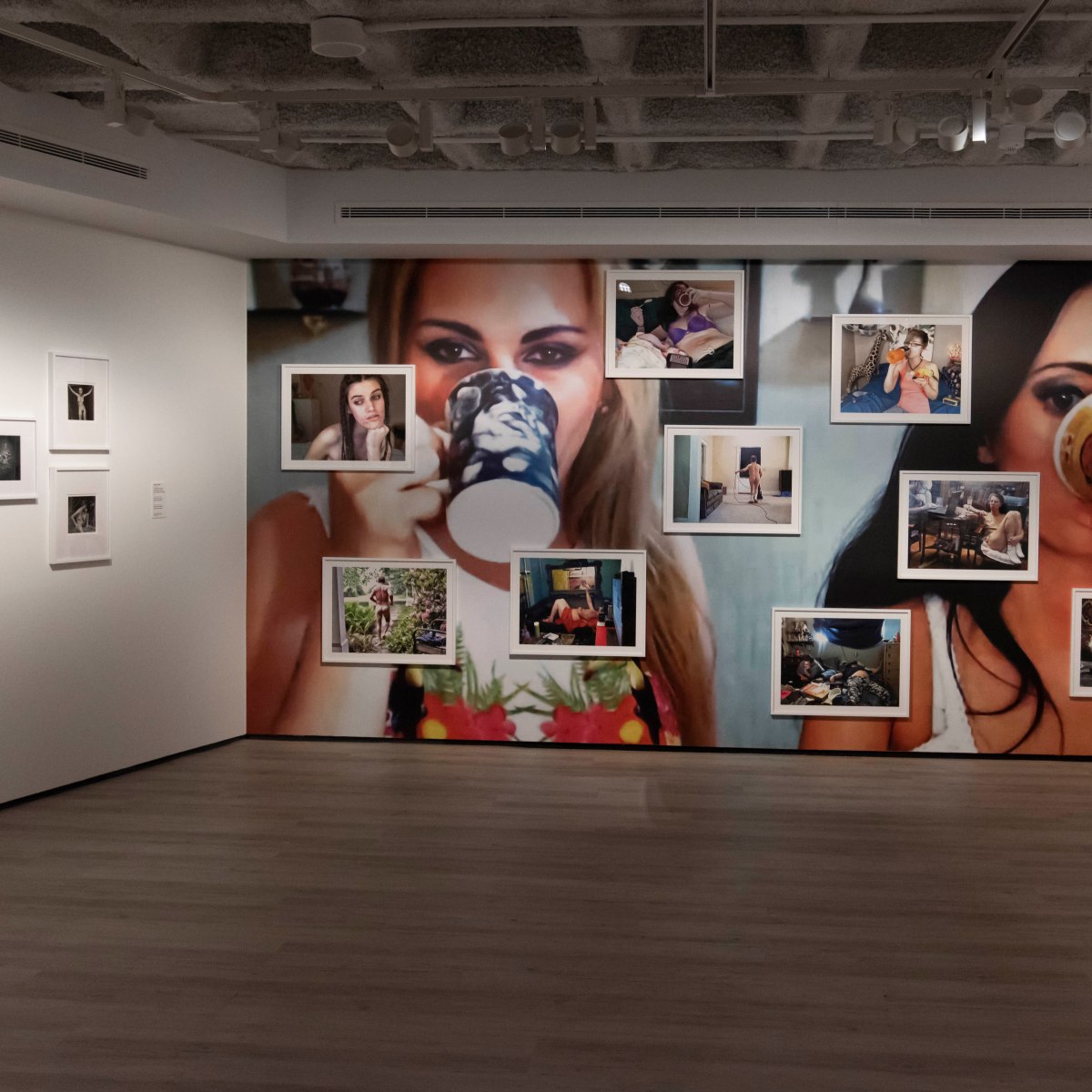 Joan Fontcuberta resonàncies