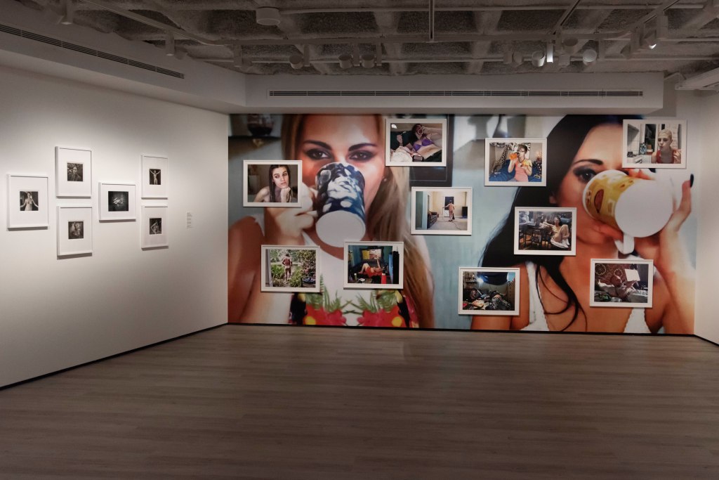 Joan Fontcuberta resonàncies