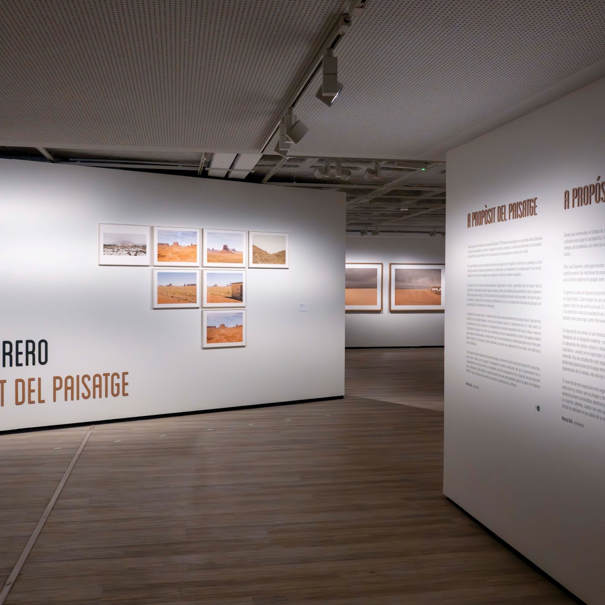 José Guerrero, a propòsit del&nbsp;paisatge