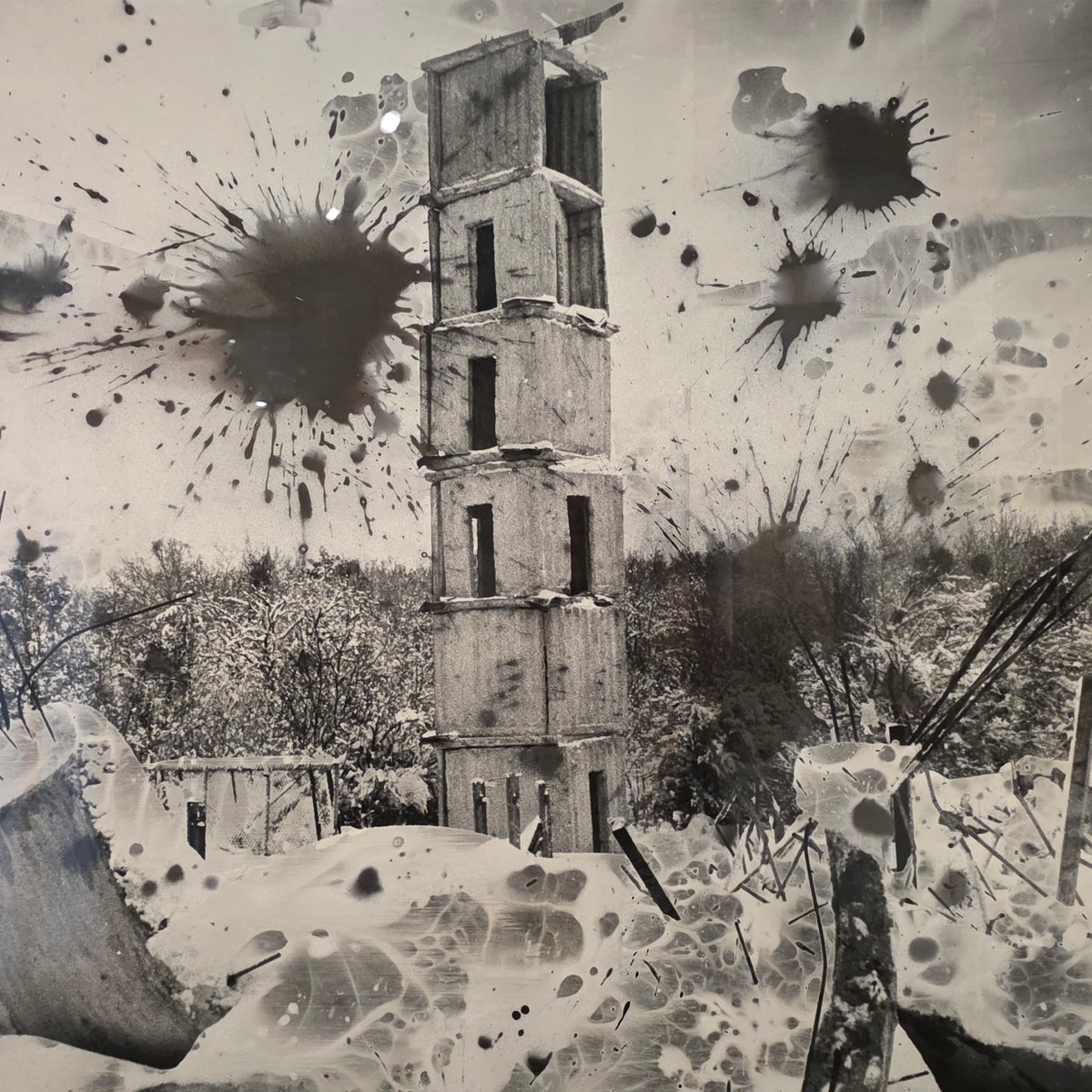 Anselm Kiefer. The secret life of&nbsp;plants